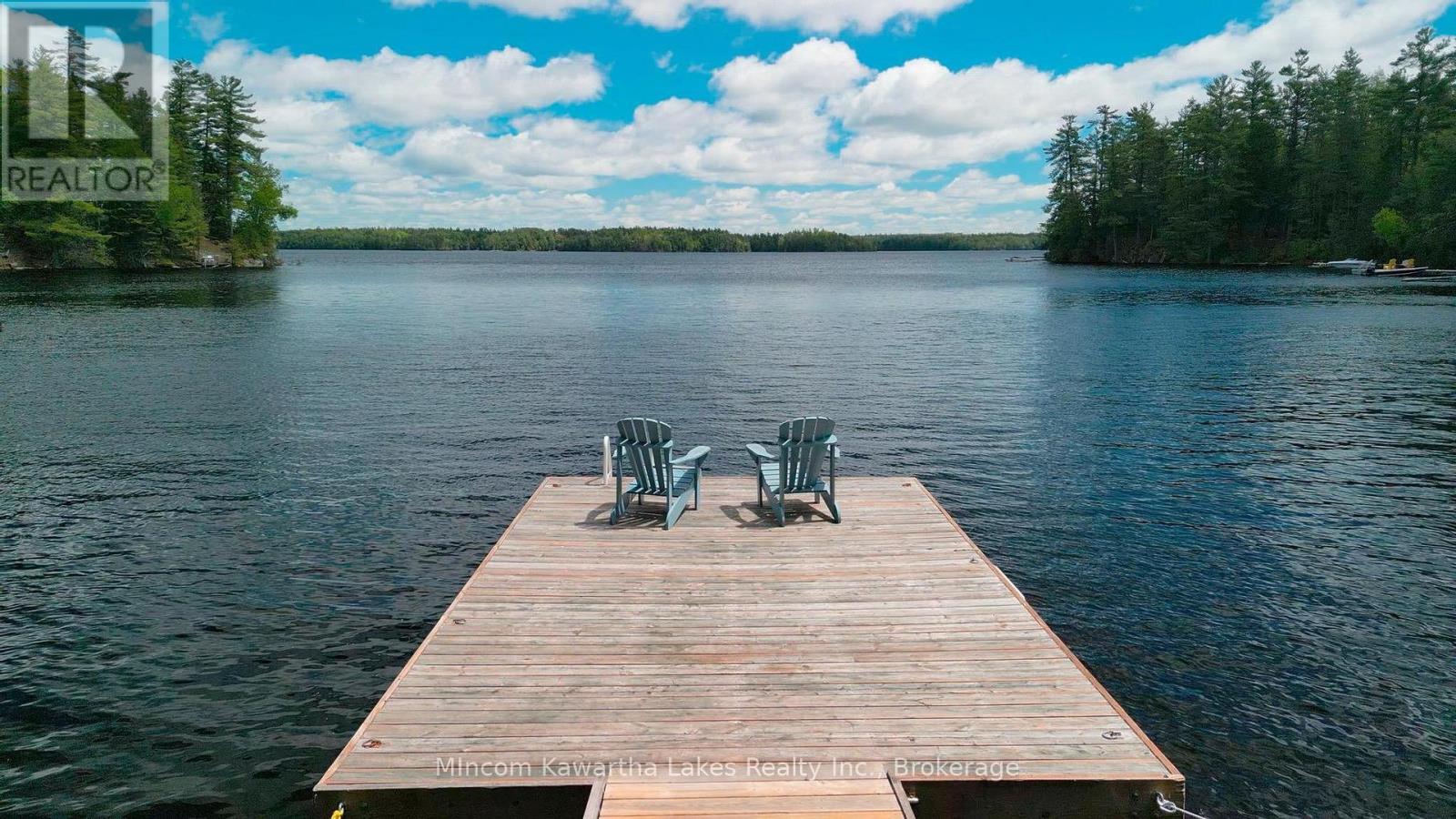 24 Fire Route 172, Trent Lakes, Ontario  K0L 1J0 - Photo 40 - X13220546