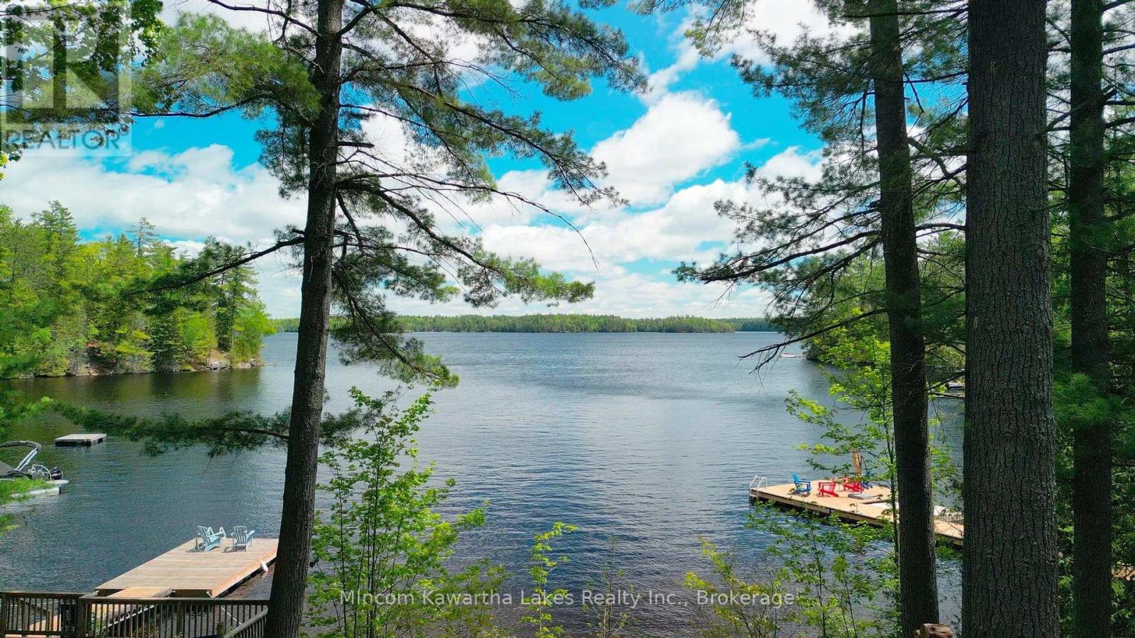 24 Fire Route 172, Trent Lakes, Ontario  K0L 1J0 - Photo 41 - X13220546