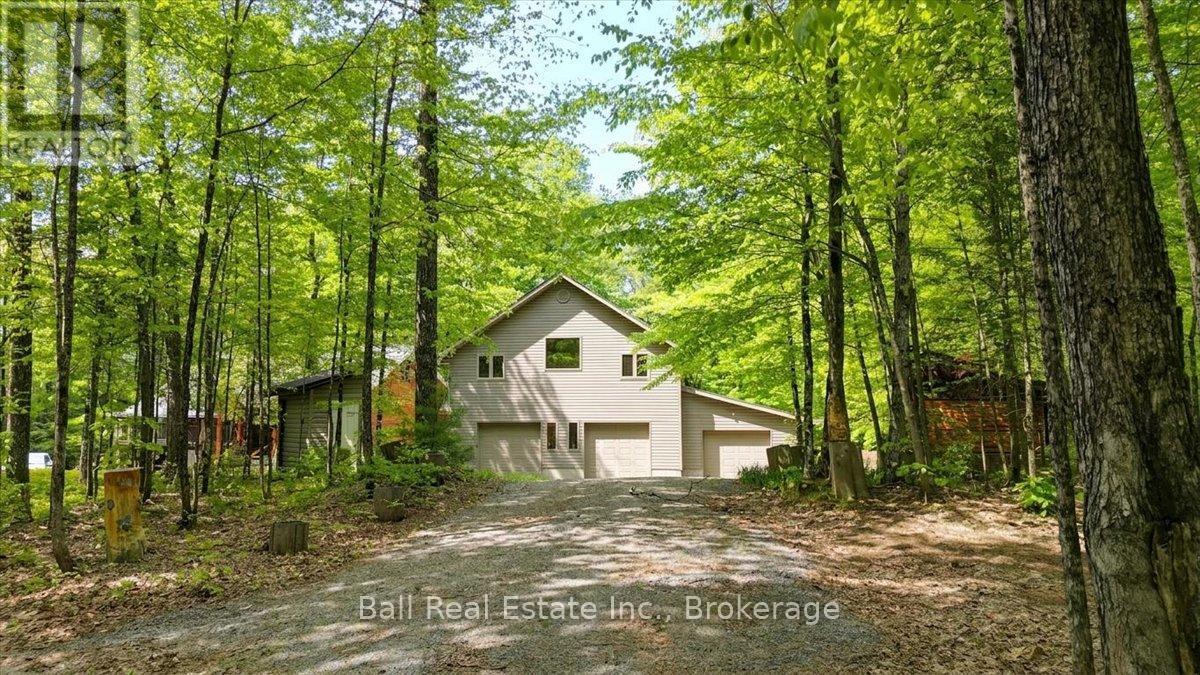 203 Cottage Lane, Carlow/mayo (Mayo Ward), Ontario  K0L 2M0 - Photo 30 - X13221616