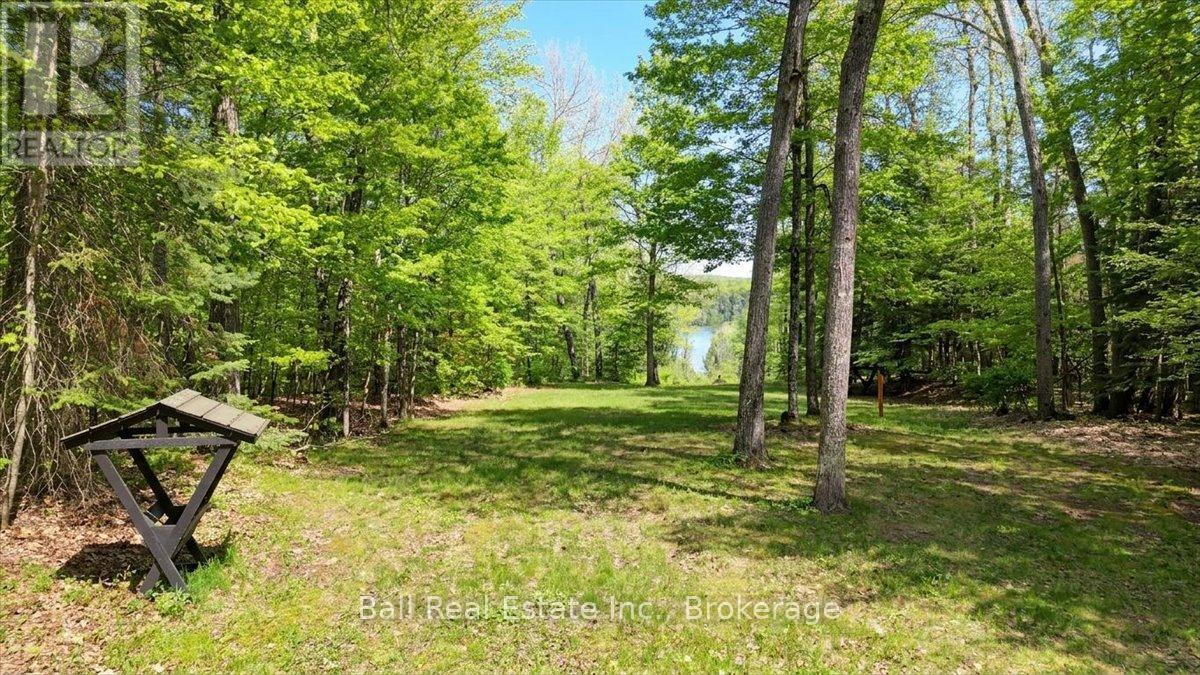 203 Cottage Lane, Carlow/mayo (Mayo Ward), Ontario  K0L 2M0 - Photo 48 - X13221616