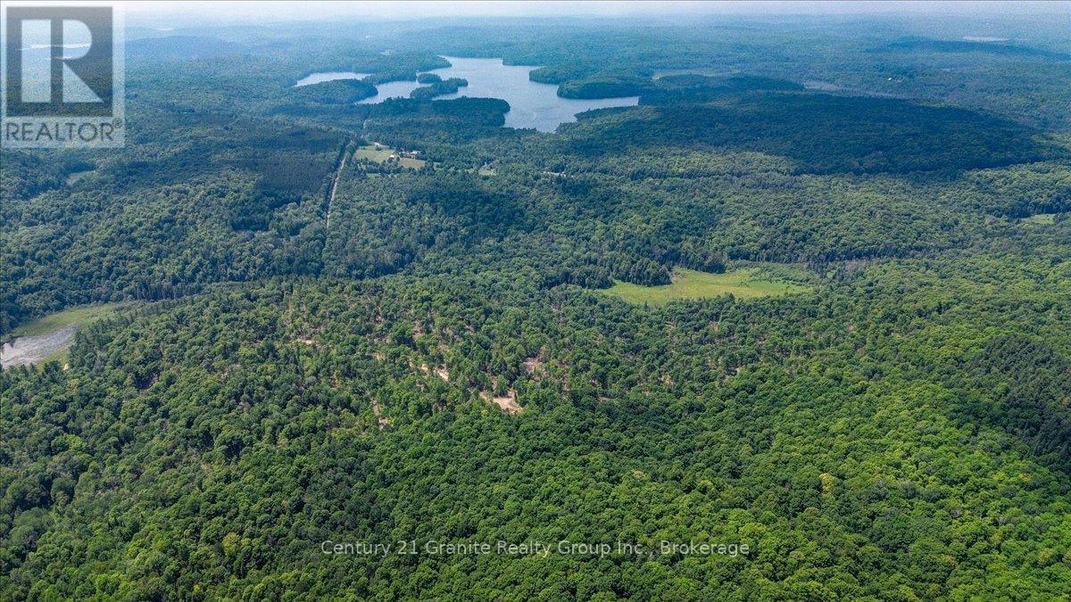 0 Airport Road, Highlands East (Cardiff Ward), Ontario  K0L 1C0 - Photo 10 - X13224356