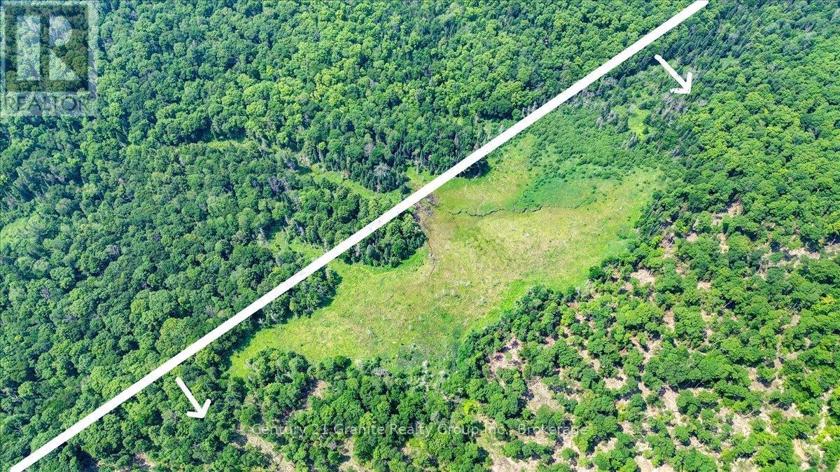0 Airport Road, Highlands East (Cardiff Ward), Ontario  K0L 1C0 - Photo 16 - X13224356