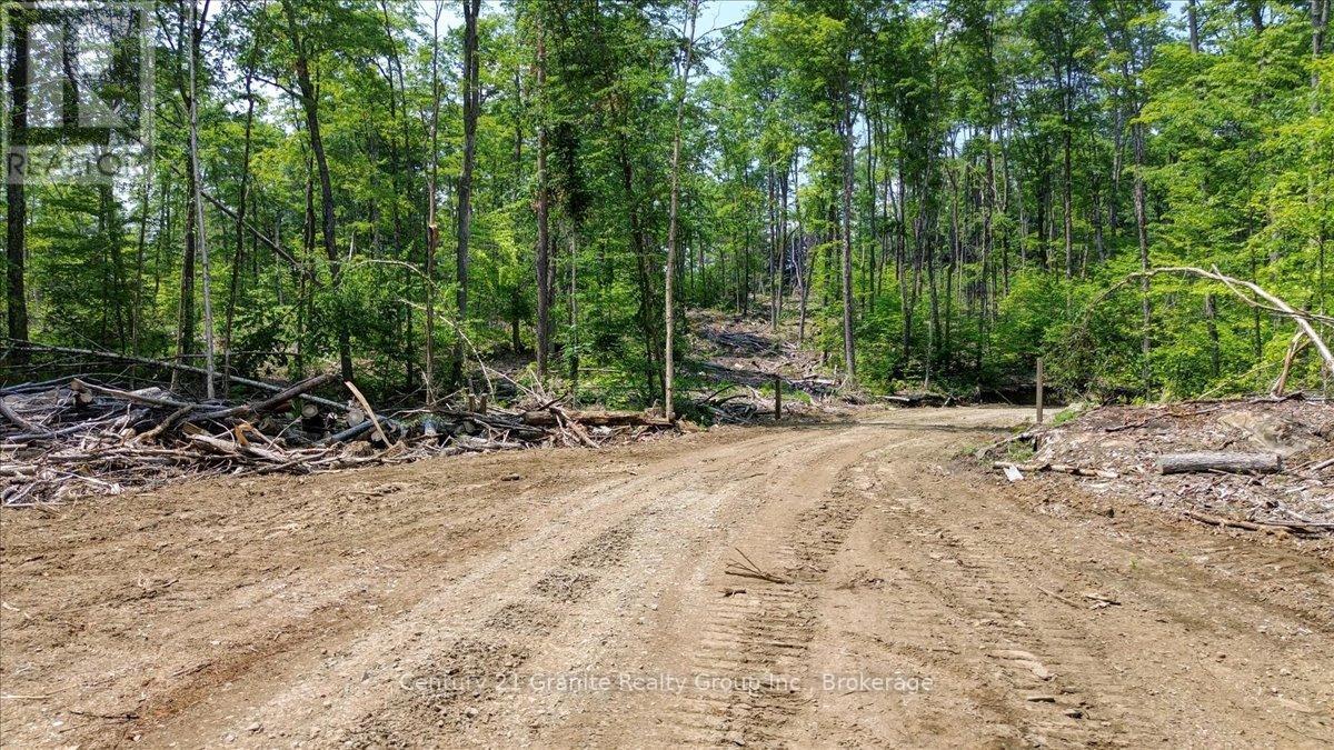 0 Airport Road, Highlands East (Cardiff Ward), Ontario  K0L 1C0 - Photo 18 - X13224356