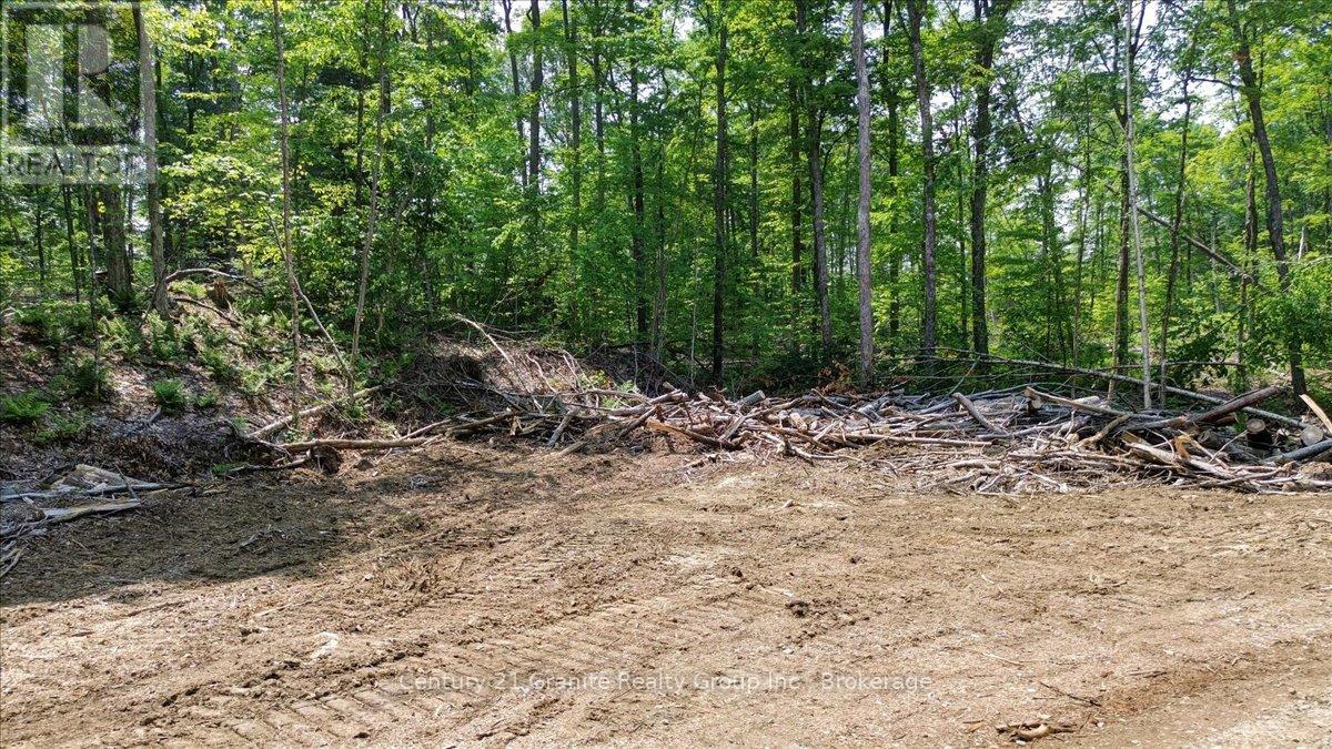0 Airport Road, Highlands East (Cardiff Ward), Ontario  K0L 1C0 - Photo 19 - X13224356
