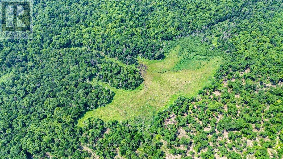 0 Airport Road, Highlands East (Cardiff Ward), Ontario  K0L 1C0 - Photo 2 - X13224356