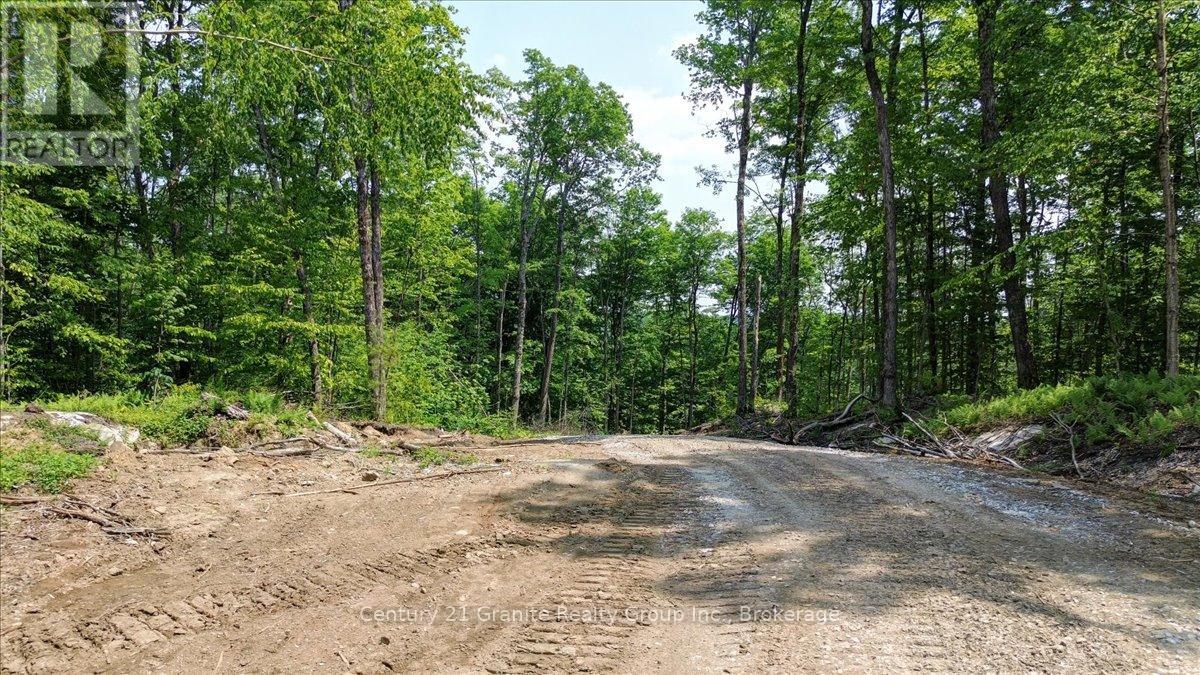 0 Airport Road, Highlands East (Cardiff Ward), Ontario  K0L 1C0 - Photo 20 - X13224356