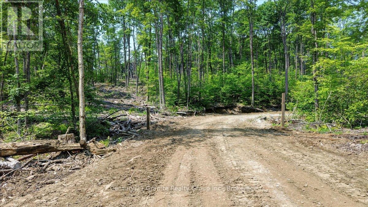 0 Airport Road, Highlands East (Cardiff Ward), Ontario  K0L 1C0 - Photo 21 - X13224356