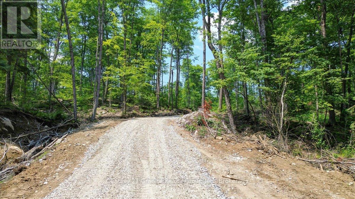 0 Airport Road, Highlands East (Cardiff Ward), Ontario  K0L 1C0 - Photo 3 - X13224356
