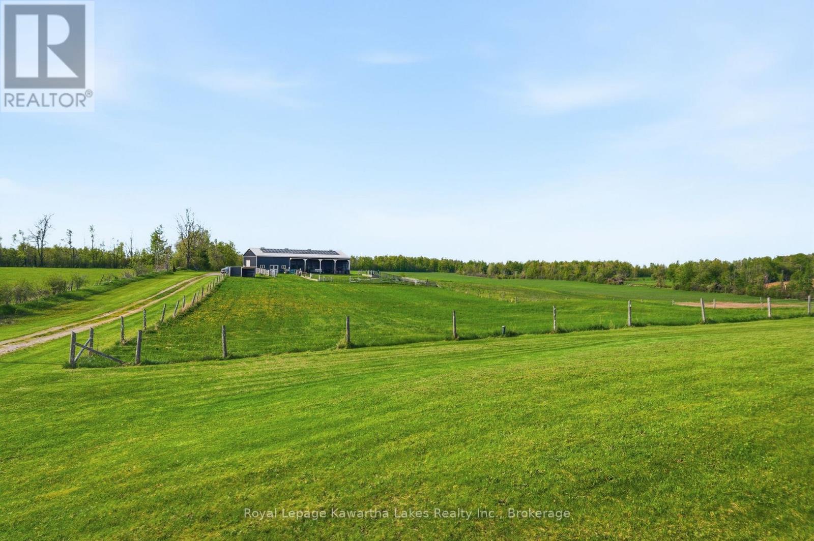431 Meadowview Road, Kawartha Lakes (Emily), Ontario  K0L 2W0 - Photo 42 - X13226522
