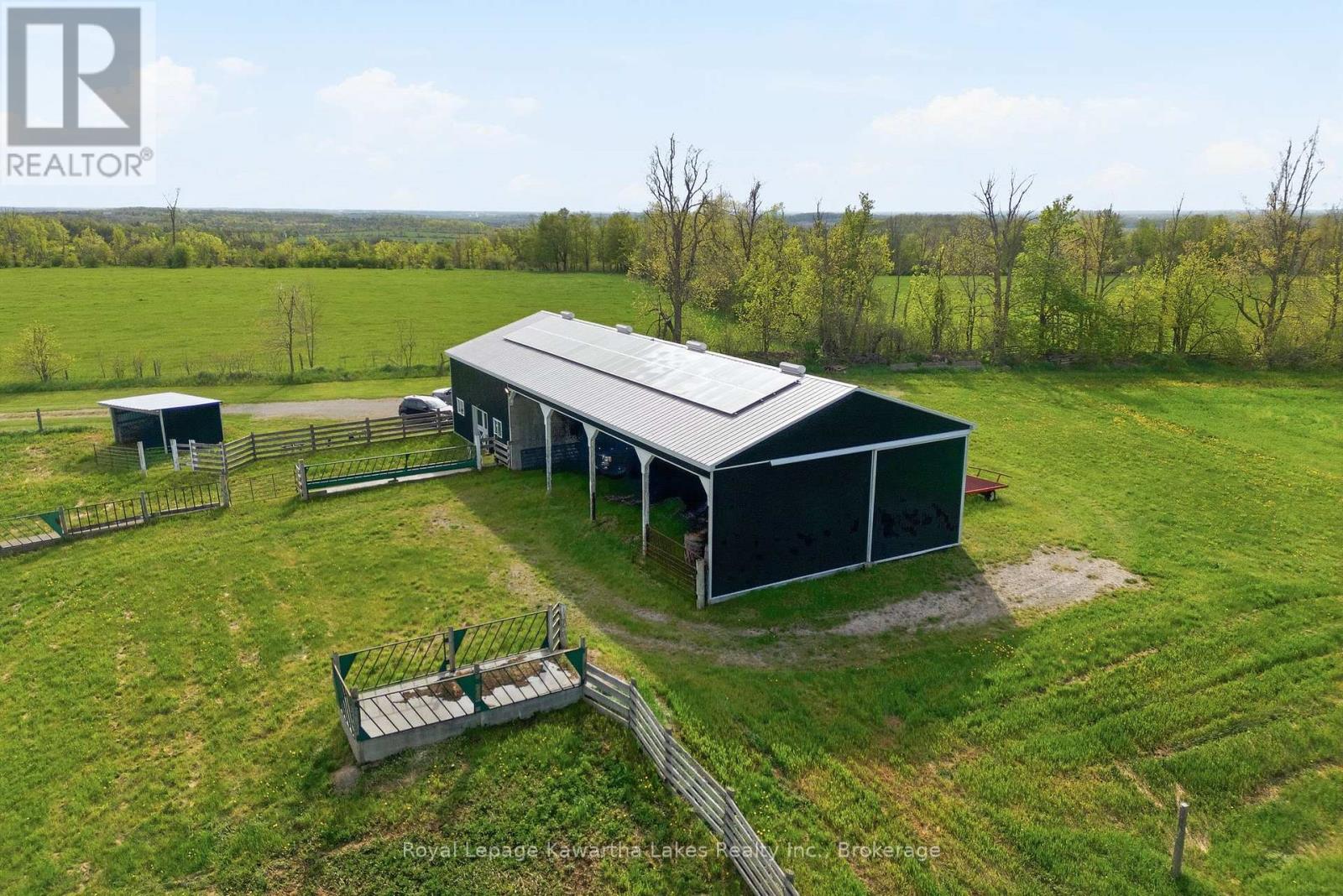 431 Meadowview Road, Kawartha Lakes (Emily), Ontario  K0L 2W0 - Photo 7 - X13226522