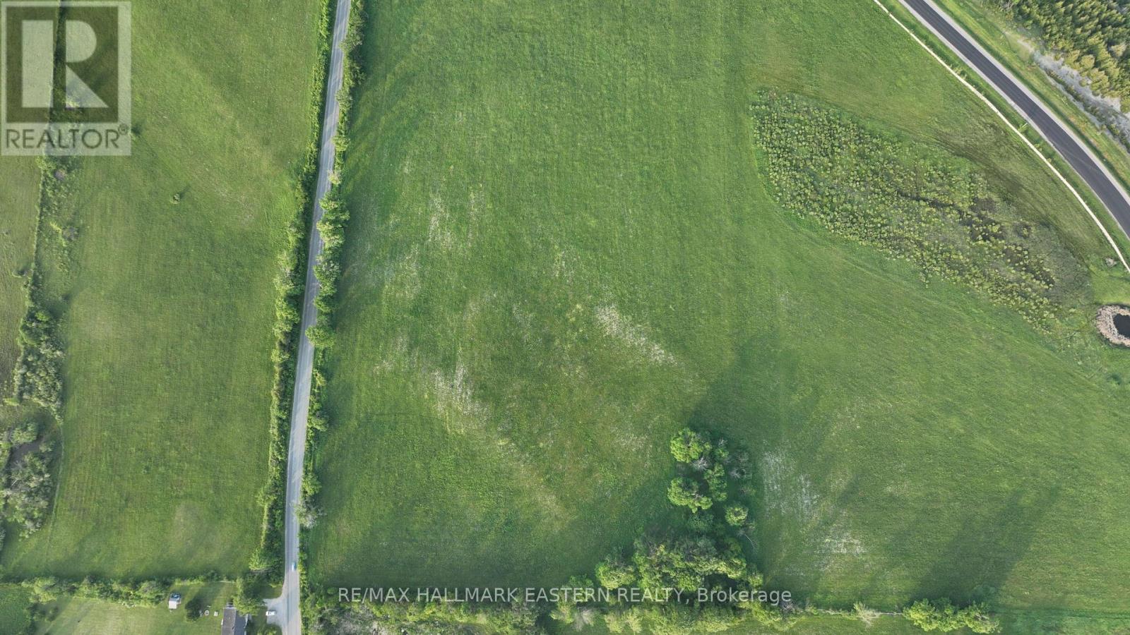 1420 Nassau Road, Douro-Dummer, Ontario  K9J 6Y1 - Photo 6 - X13228450