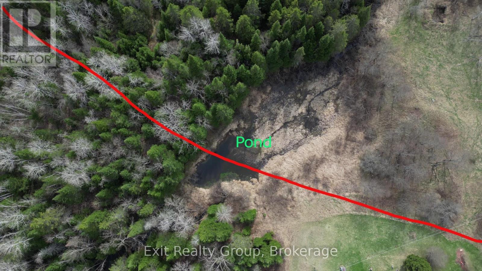 3606 County Road 620, North Kawartha, Ontario  K0L 1A0 - Photo 11 - X13228834