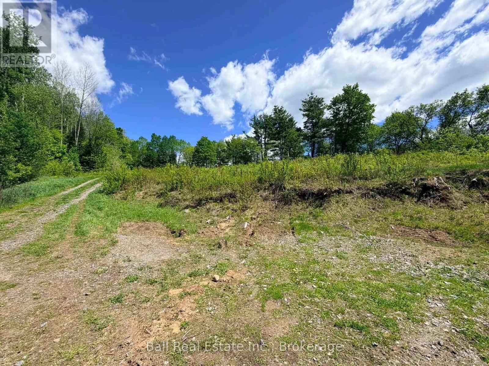 53 Cleak Avenue, Bancroft (Bancroft Ward), Ontario  K0L 1C0 - Photo 8 - X13229318