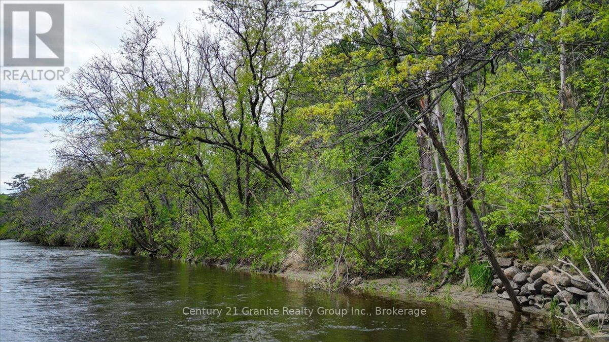 66 Hastings Street S, Bancroft (Bancroft Ward), Ontario  K0L 1C0 - Photo 45 - X13233184
