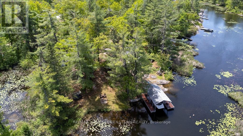 224 Fire Route 79, Trent Lakes, Ontario  K0L 1J0 - Photo 42 - X13235048