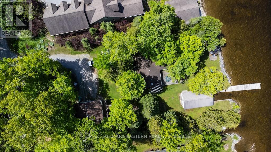149 Fire Route 72, Trent Lakes, Ontario  K0L 1J0 - Photo 3 - X13235286