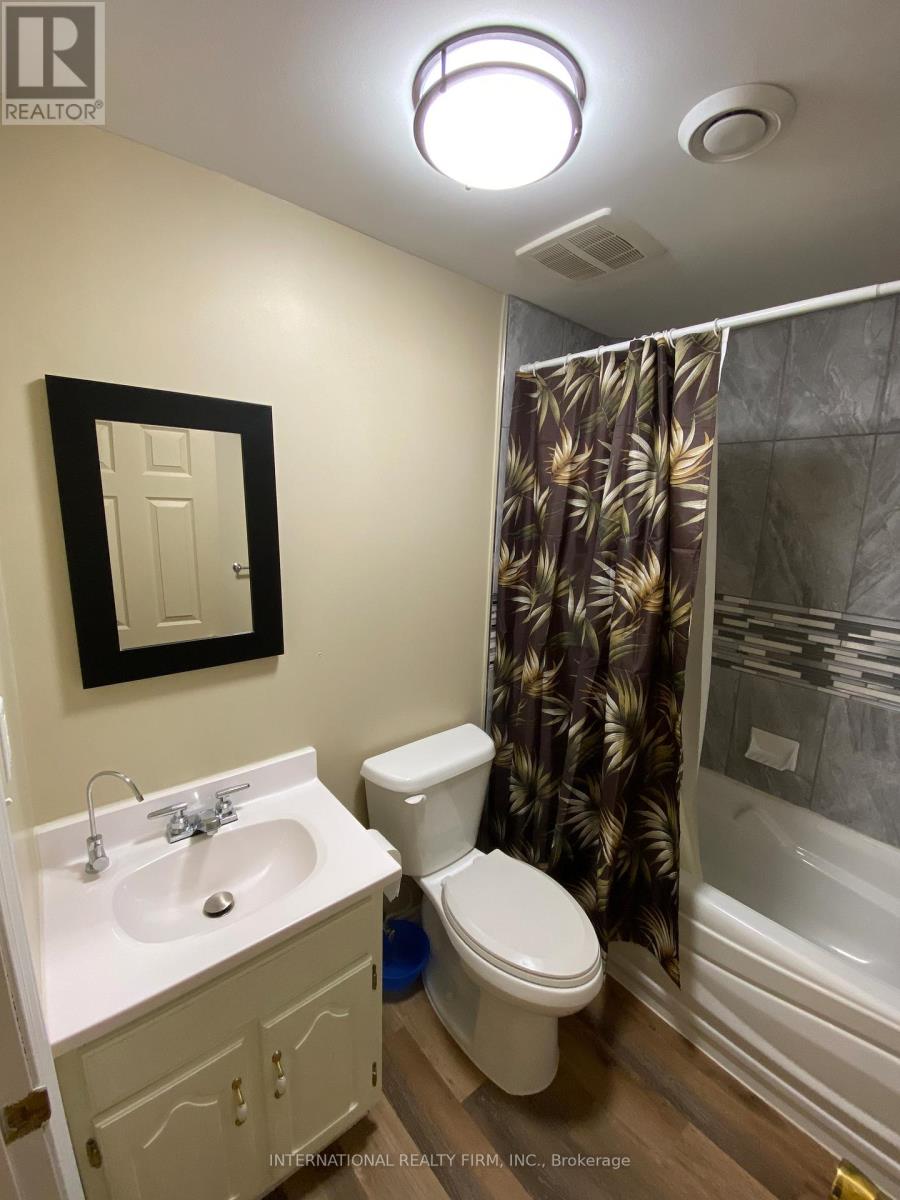 Bsmt - 14 Mcgibbon Boulevard, Kawartha Lakes (Lindsay), Ontario  K9V 6G3 - Photo 11 - X13238182