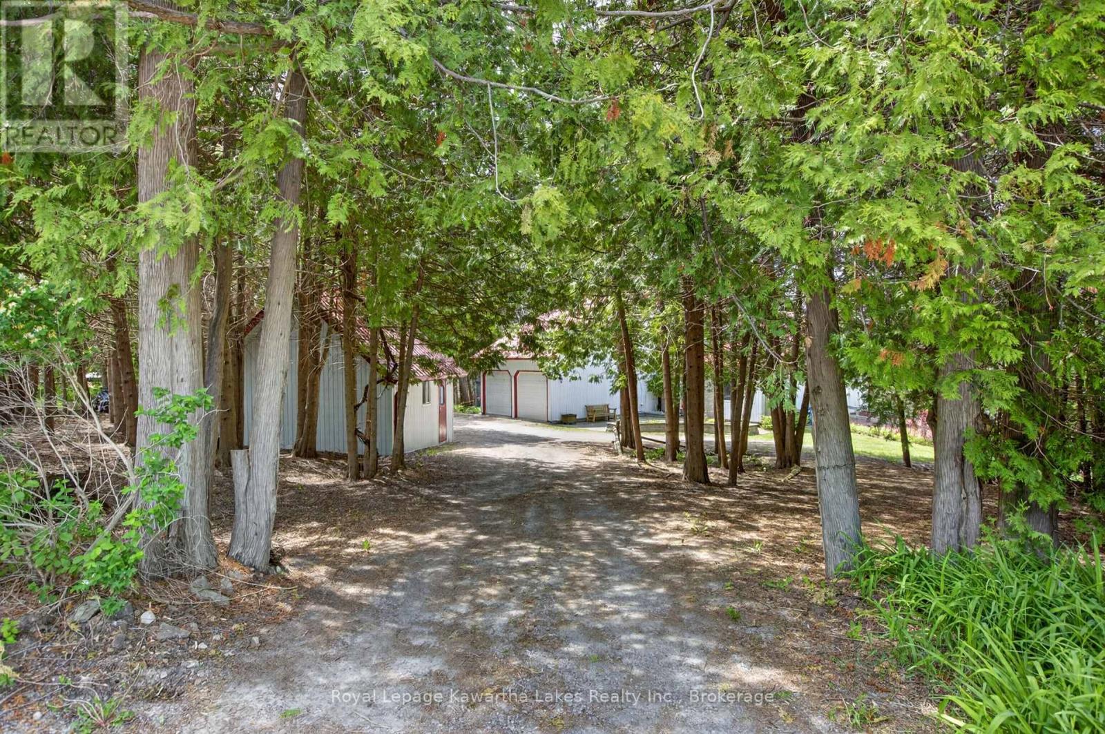 153 Pleasant Point Road, Kawartha Lakes (Fenelon), Ontario  K9V 4R6 - Photo 8 - X13238804