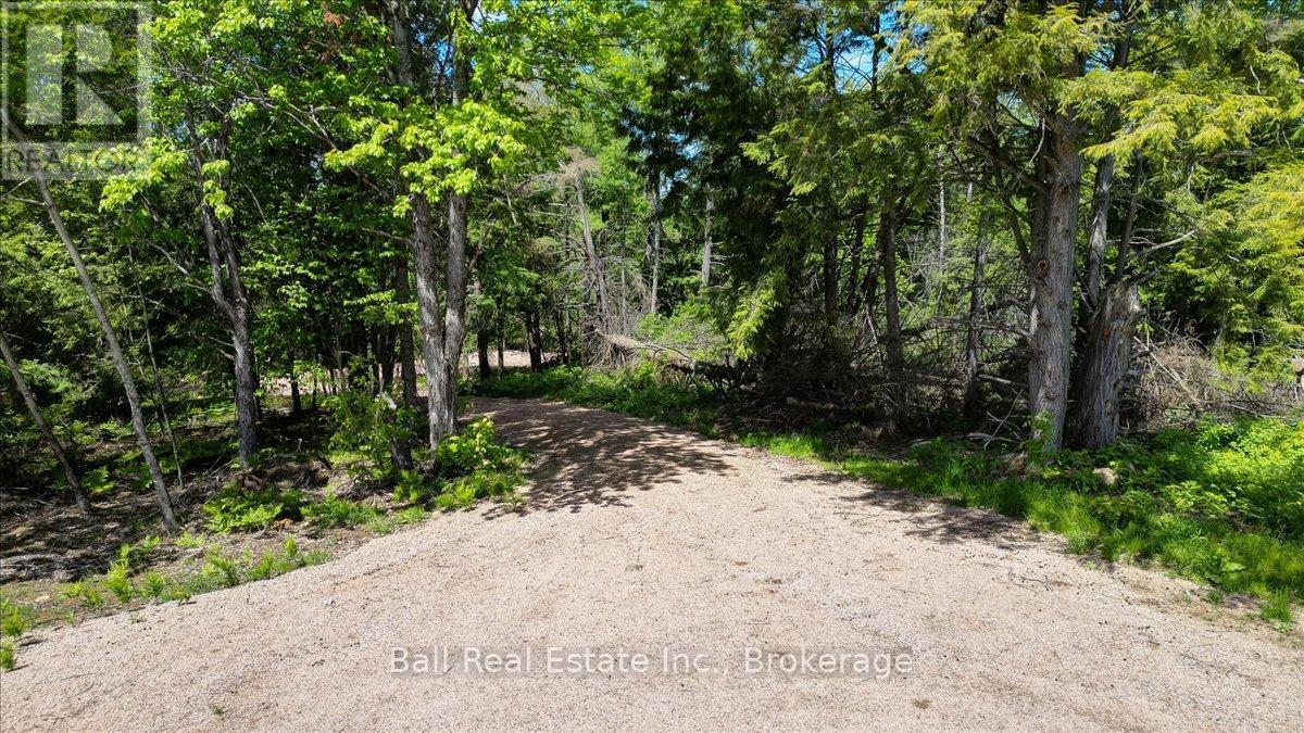 232 Lasswade Road, North Kawartha, Ontario  K0L 1A0 - Photo 10 - X13239686