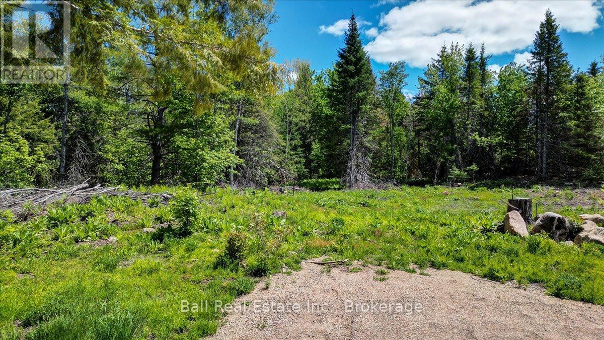 232 Lasswade Road, North Kawartha, Ontario  K0L 1A0 - Photo 11 - X13239686
