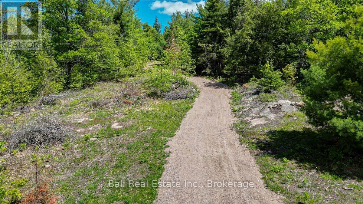 232 Lasswade Road, North Kawartha, Ontario  K0L 1A0 - Photo 3 - X13239686