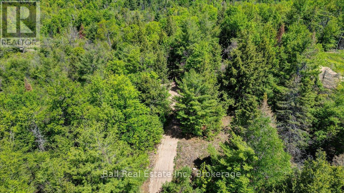 232 Lasswade Road, North Kawartha, Ontario  K0L 1A0 - Photo 5 - X13239686