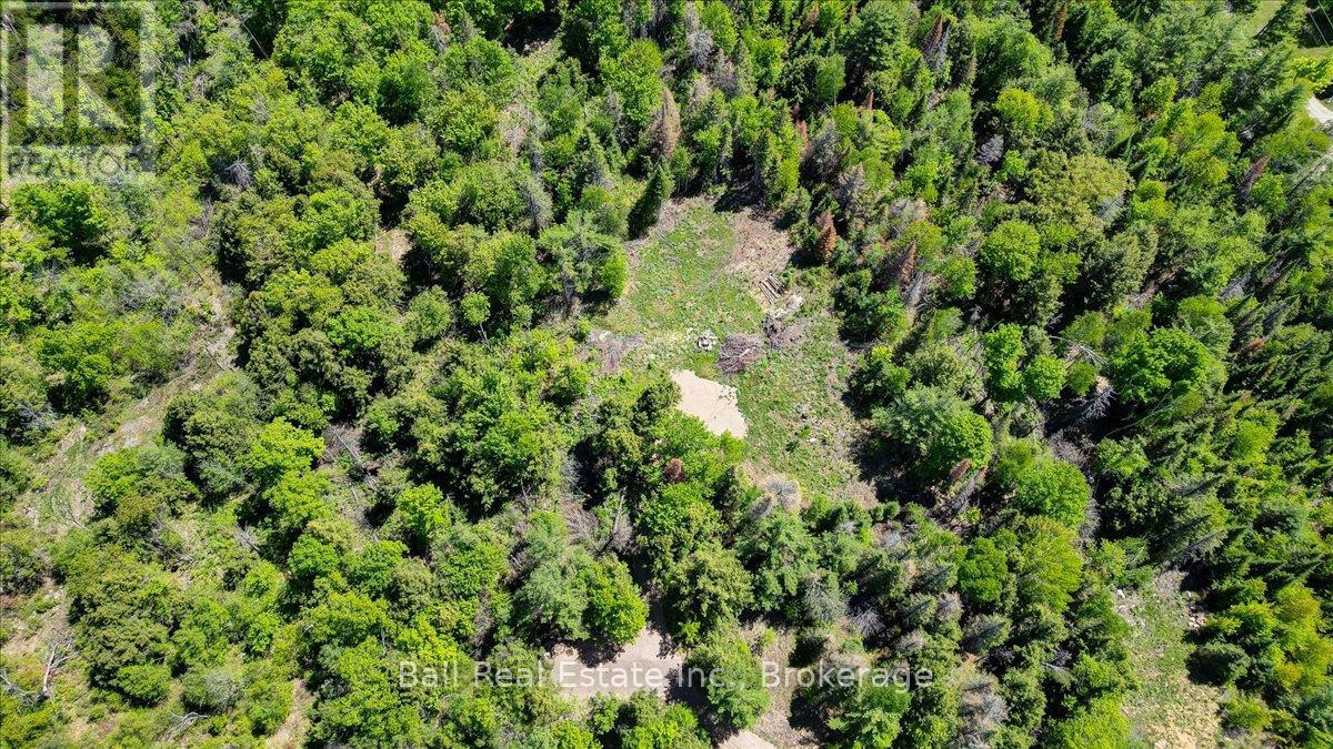 232 Lasswade Road, North Kawartha, Ontario  K0L 1A0 - Photo 6 - X13239686