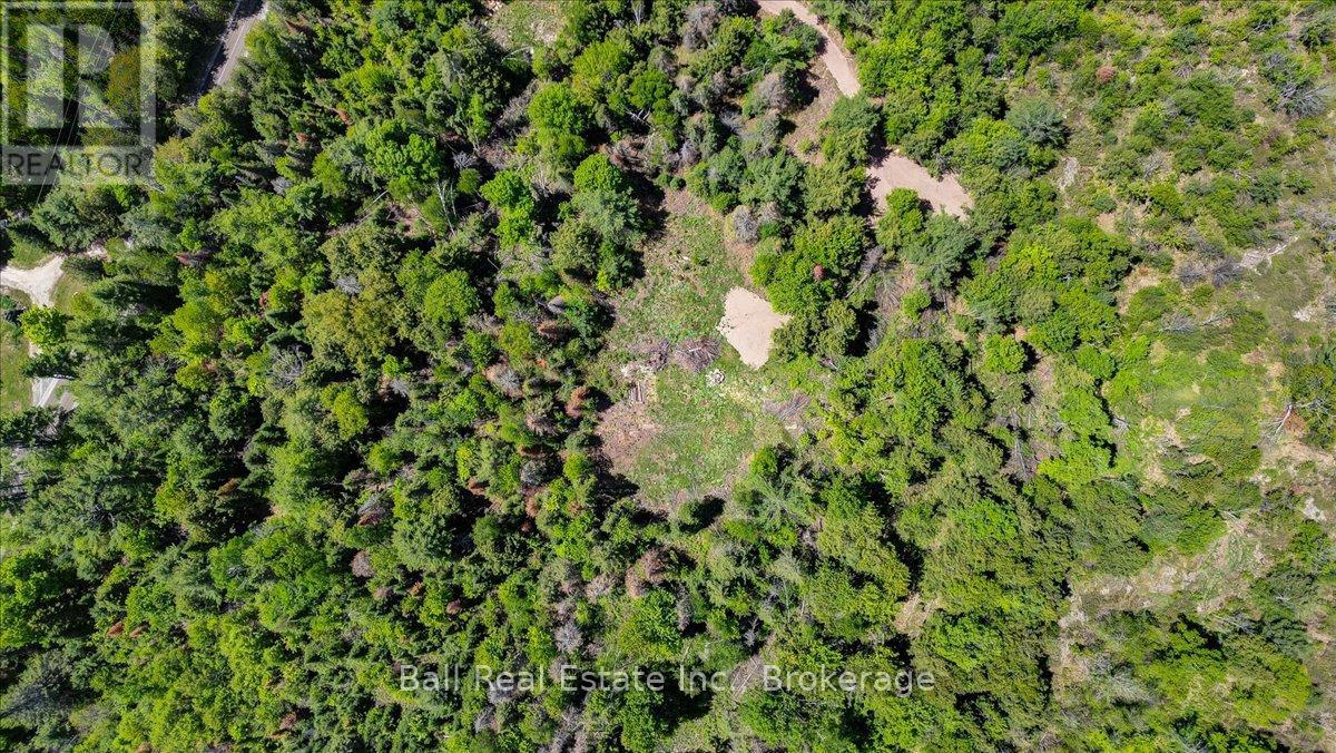 232 Lasswade Road, North Kawartha, Ontario  K0L 1A0 - Photo 9 - X13239686