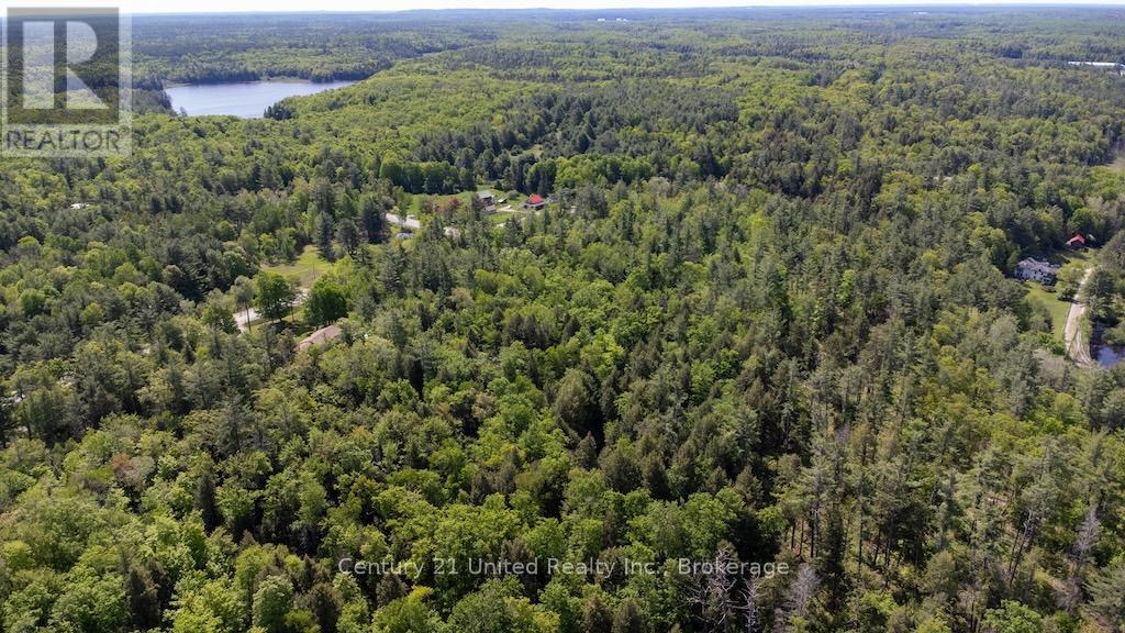 254 County Rd 620, North Kawartha, Ontario  K0L 1A0 - Photo 24 - X13246884