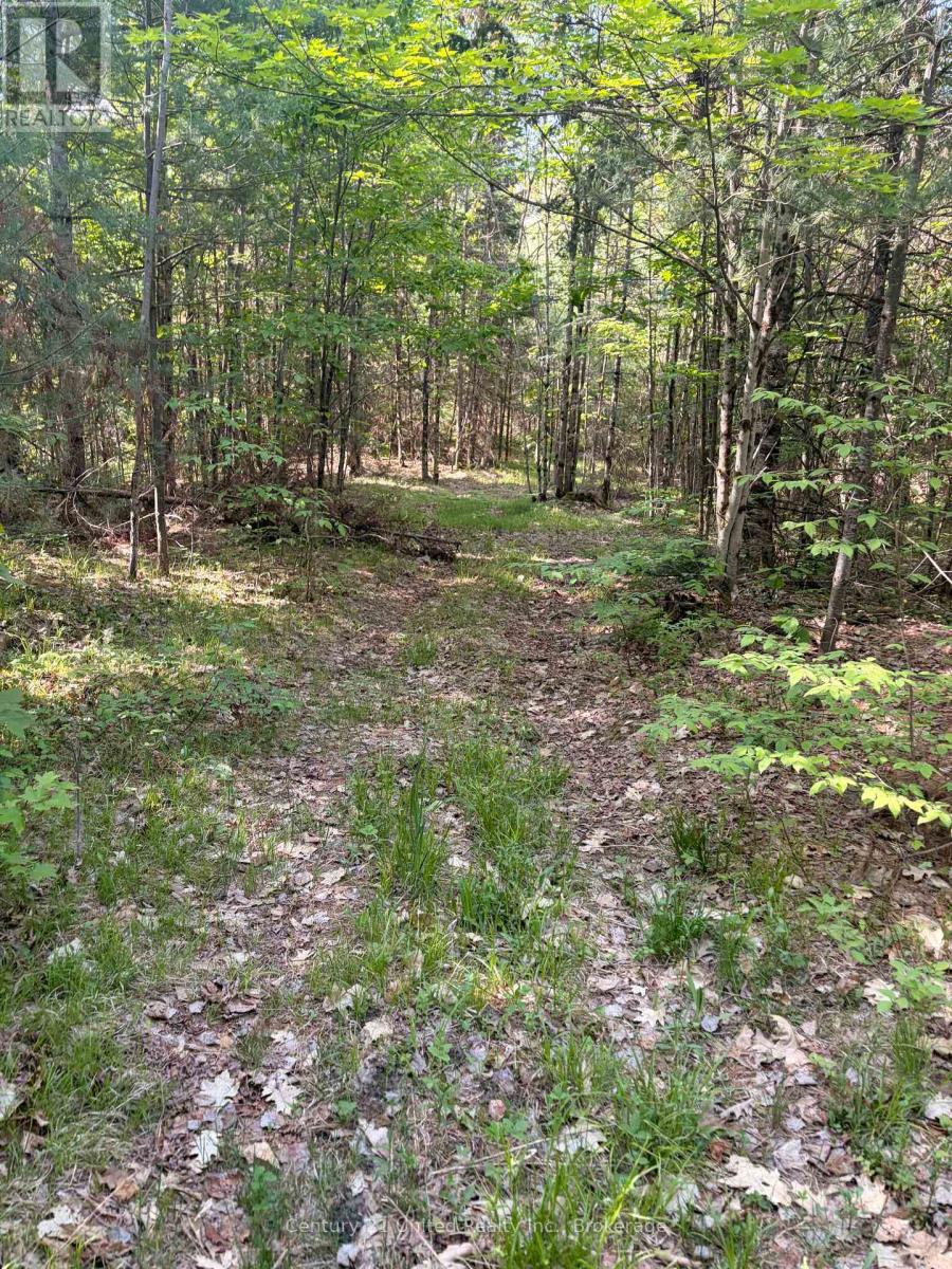 254 County Rd 620, North Kawartha, Ontario  K0L 1A0 - Photo 25 - X13246884