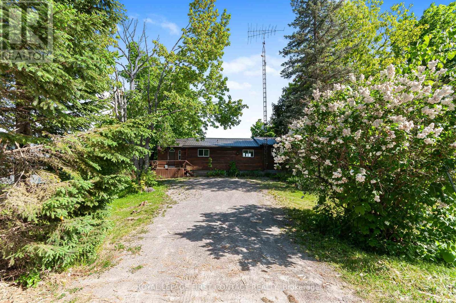 103 Peninsula Drive, Trent Lakes, Ontario  K9J 6X3 - Photo 10 - X13246892