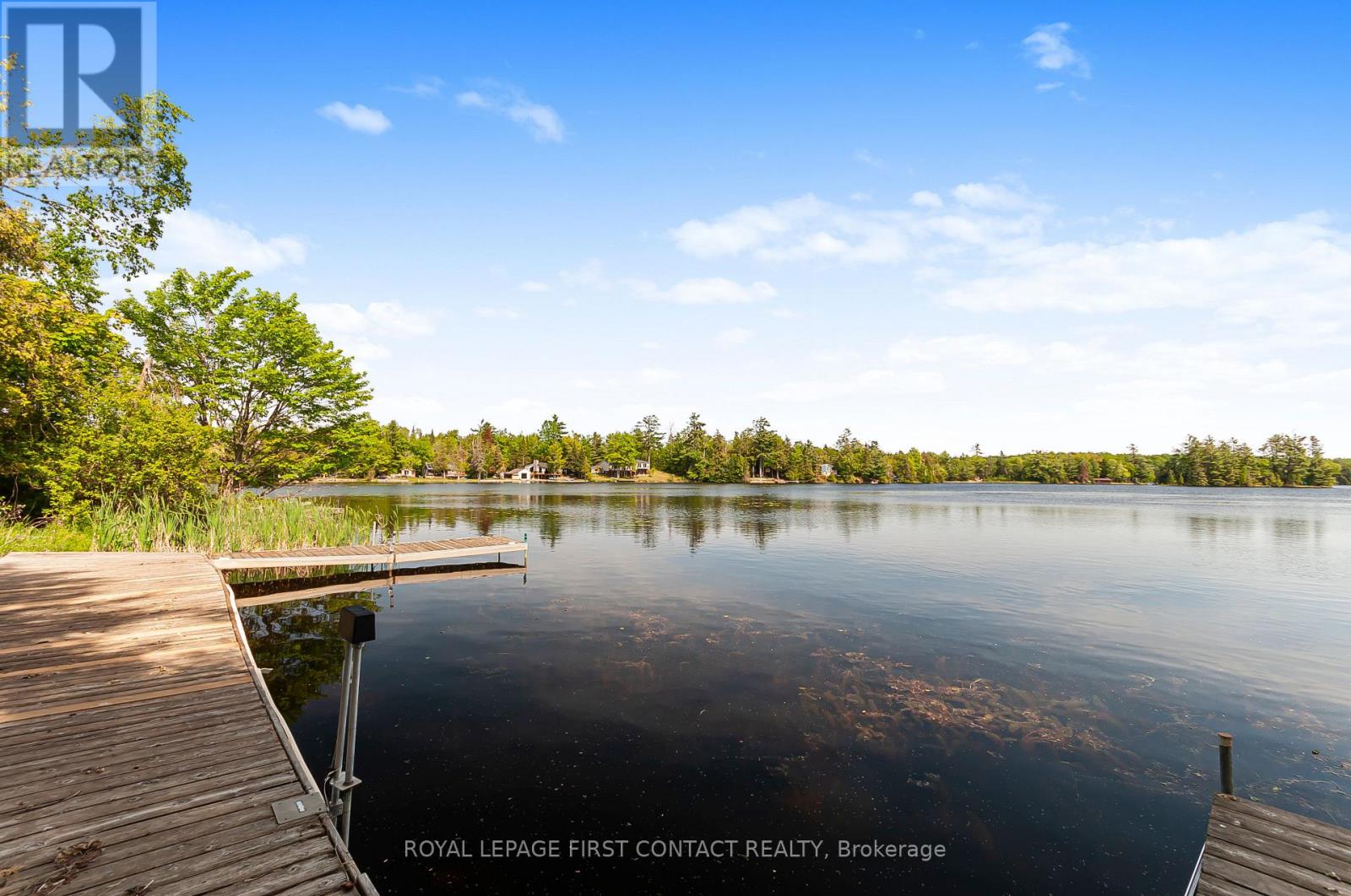103 Peninsula Drive, Trent Lakes, Ontario  K9J 6X3 - Photo 5 - X13246892