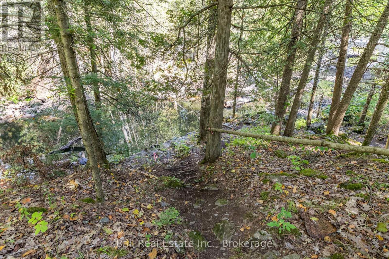 2476 County Rd 46, Havelock-Belmont-Methuen (Belmont-Methuen), Ontario  K0L 1Z0 - Photo 38 - X13247498