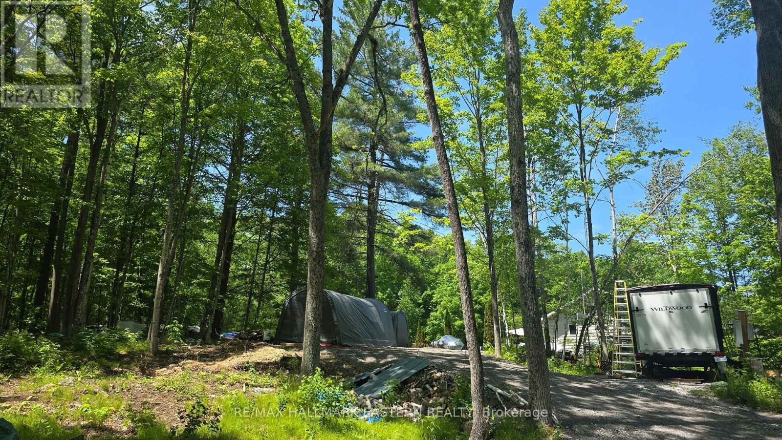 346 Blairton Road, Havelock-Belmont-Methuen (Belmont-Methuen), Ontario  K0L 1Z0 - Photo 7 - X13247816