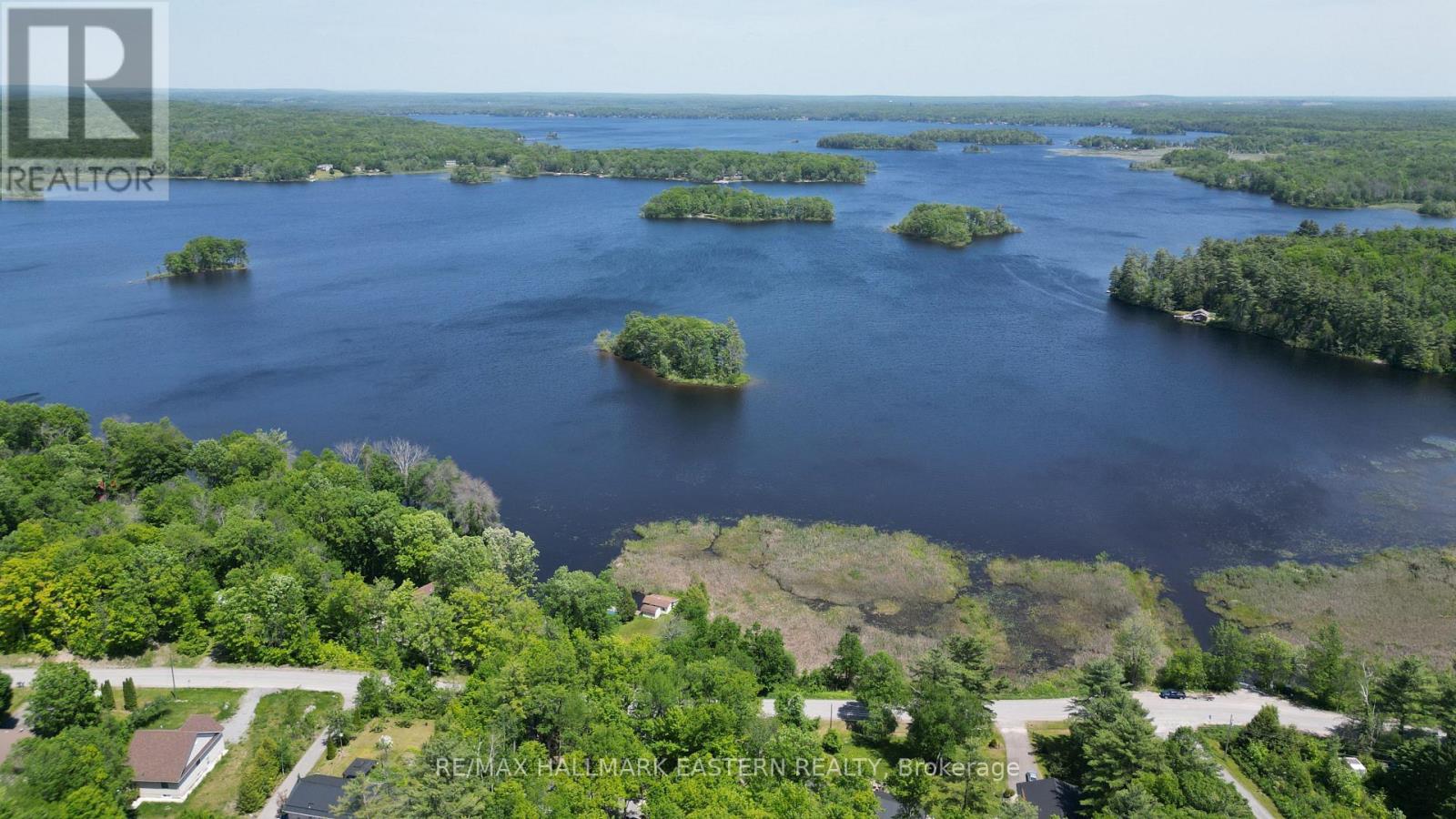 346 Blairton Road, Havelock-Belmont-Methuen (Belmont-Methuen), Ontario  K0L 1Z0 - Photo 8 - X13247816