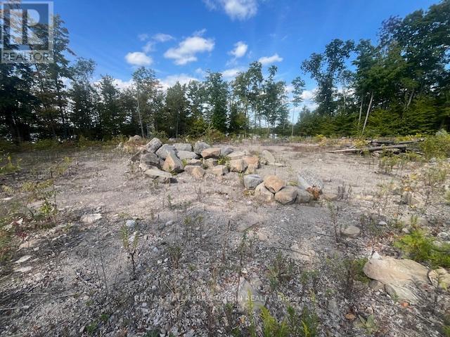1872 Willan Road, Selwyn, Ontario  K0L 1J0 - Photo 10 - X13248084