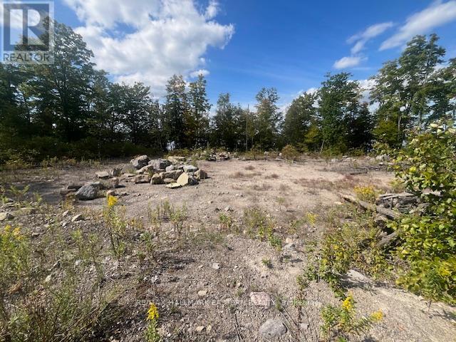 1872 Willan Road, Selwyn, Ontario  K0L 1J0 - Photo 11 - X13248084