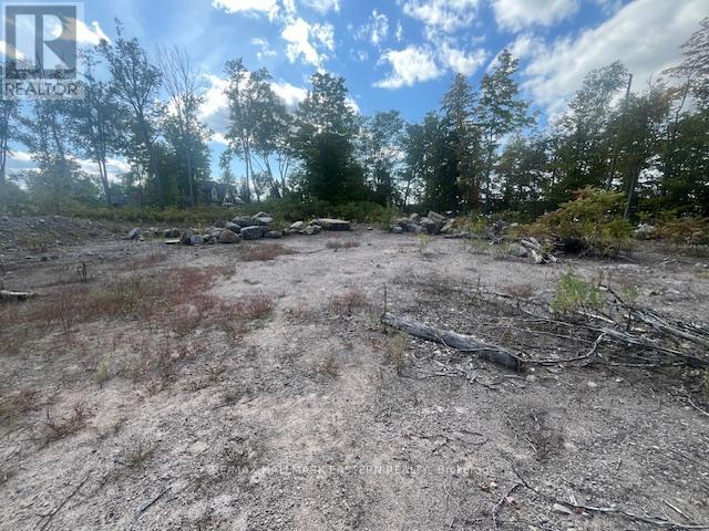 1872 Willan Road, Selwyn, Ontario  K0L 1J0 - Photo 8 - X13248084