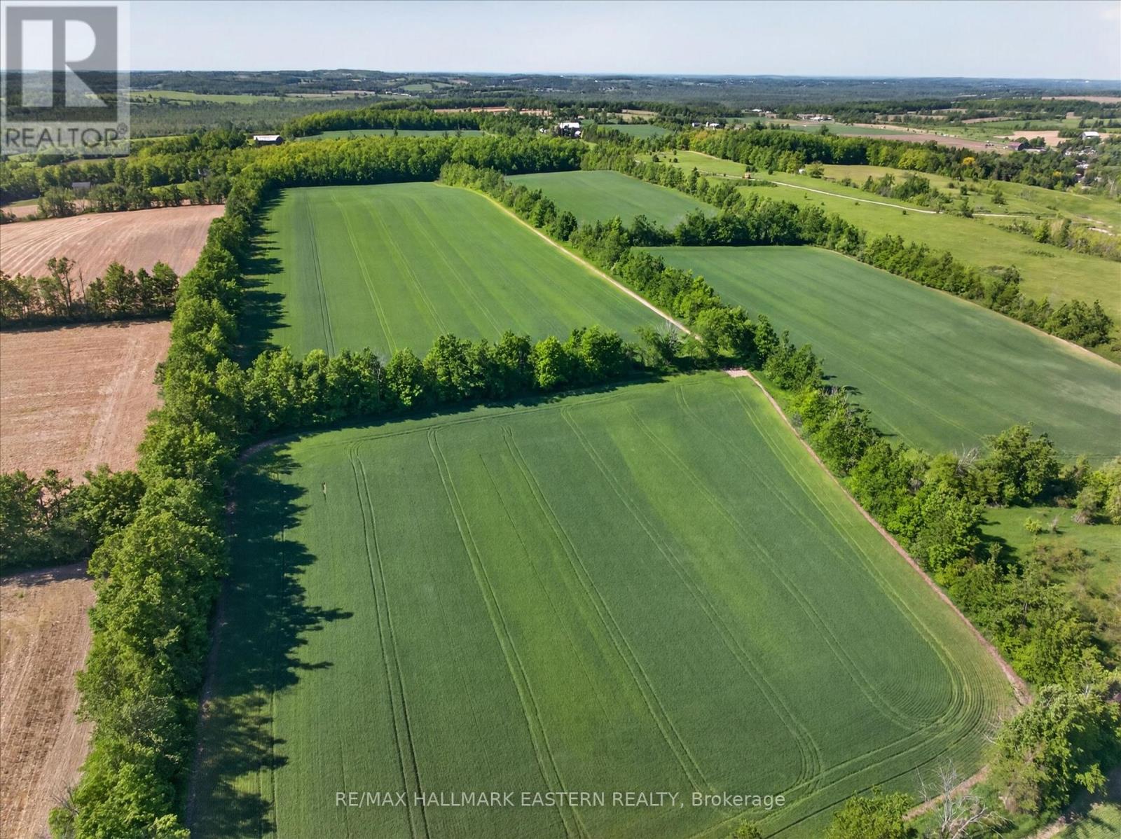 794 Morton Line, Cavan Monaghan (Cavan Twp), Ontario  L0A 1C0 - Photo 6 - X13248364