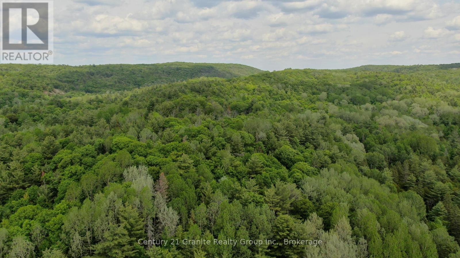 47 & 55 Cleak Avenue, Bancroft (Bancroft Ward), Ontario  K0L 1C0 - Photo 11 - X13251764