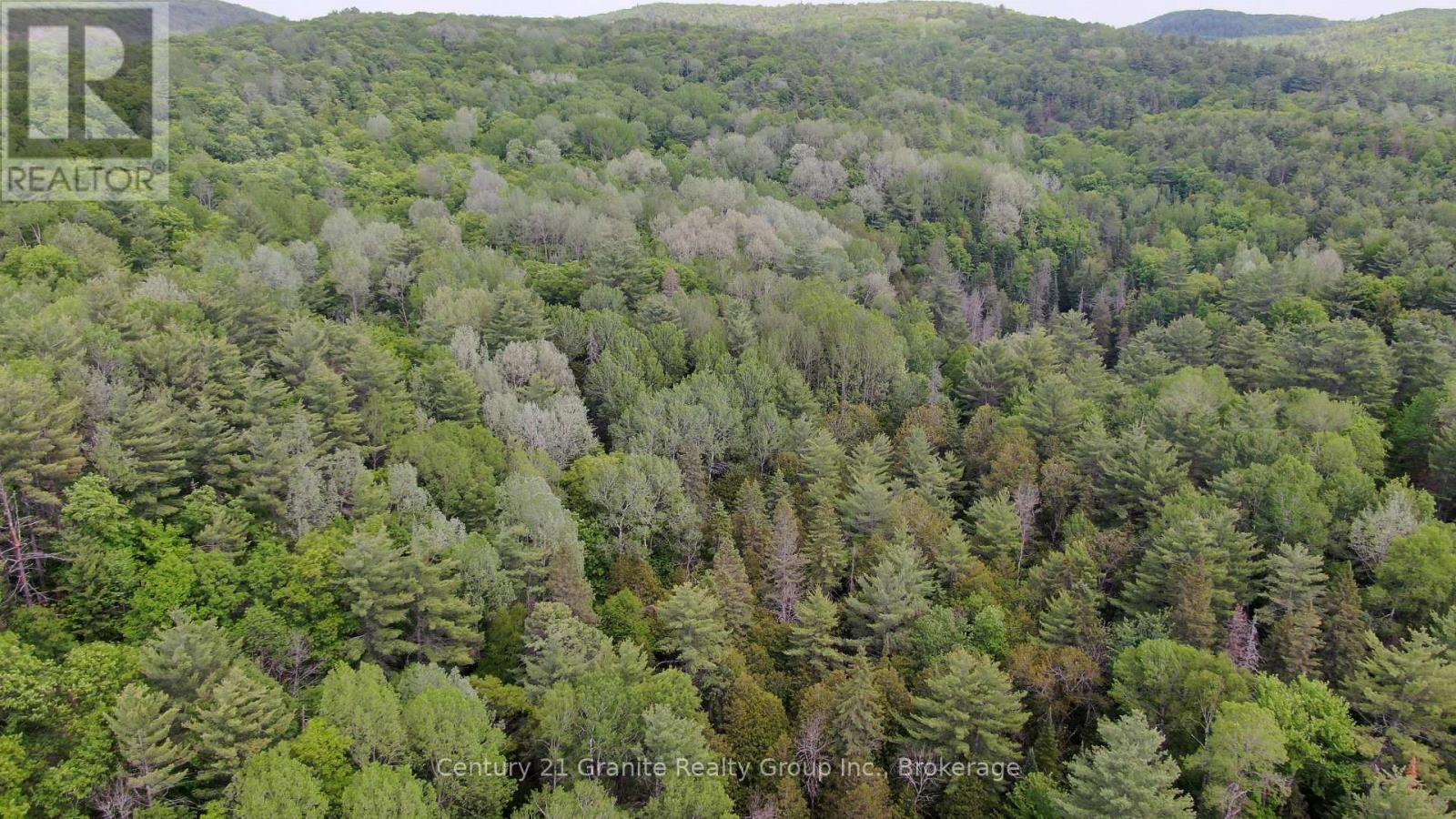 47 & 55 Cleak Avenue, Bancroft (Bancroft Ward), Ontario  K0L 1C0 - Photo 14 - X13251764