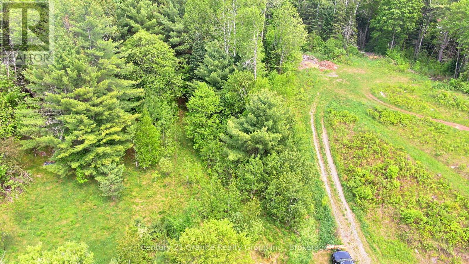 47 & 55 Cleak Avenue, Bancroft (Bancroft Ward), Ontario  K0L 1C0 - Photo 4 - X13251764
