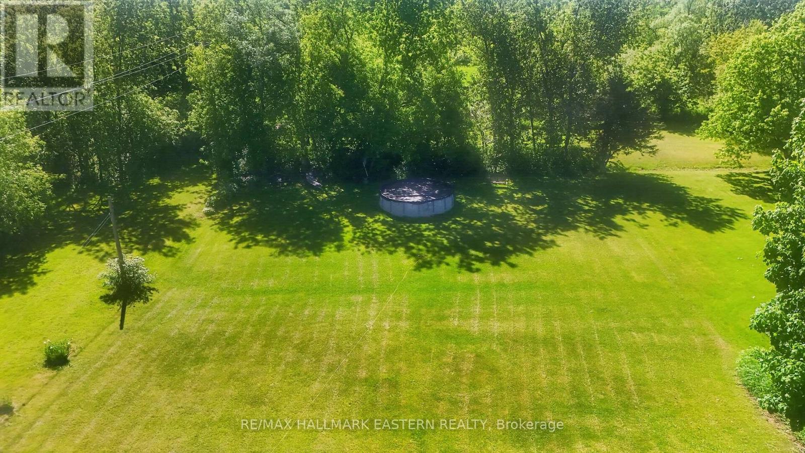 45 Spring Street, Asphodel-Norwood (Norwood), Ontario  K0L 2V0 - Photo 8 - X13255592