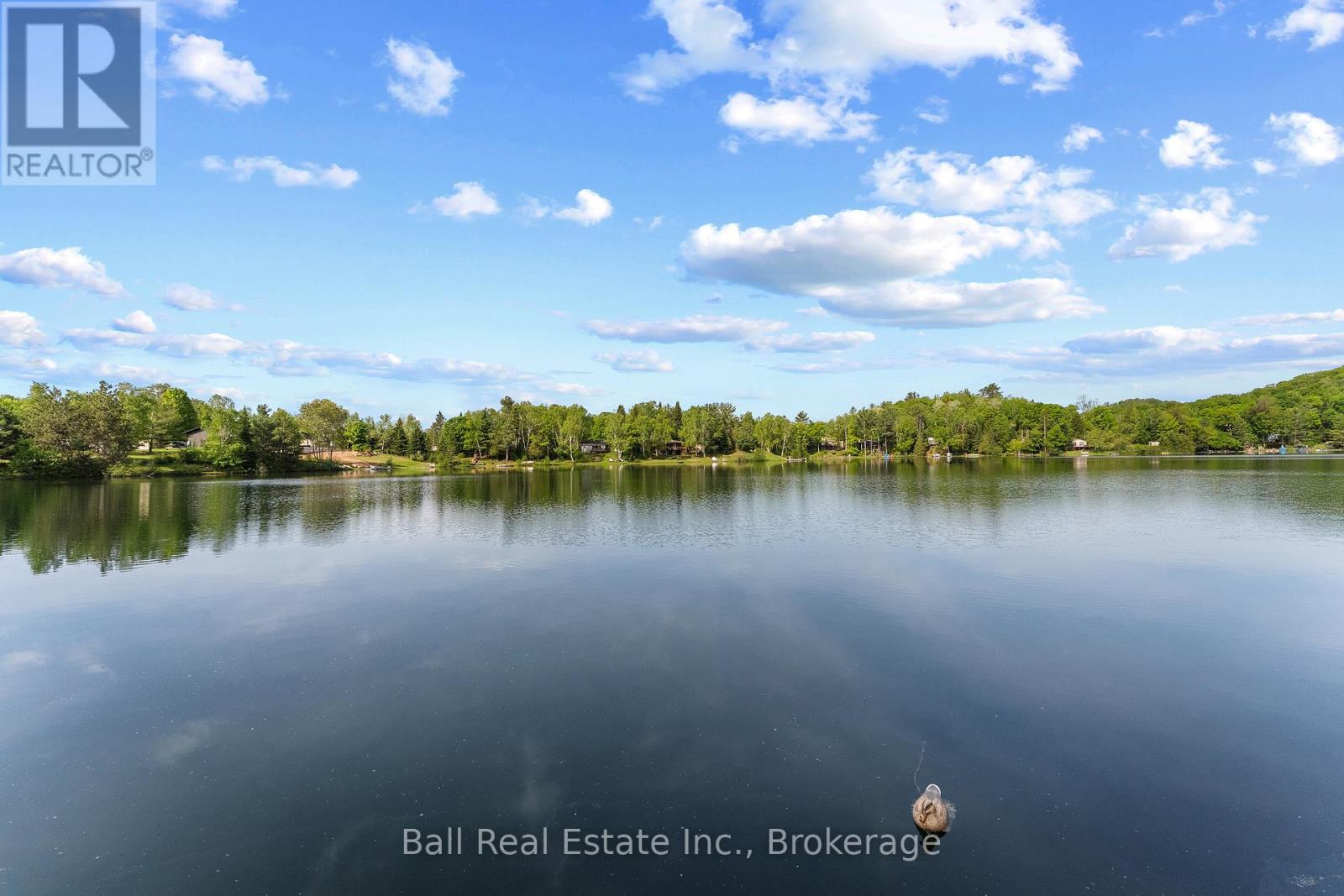 29 Siddon Lake Place, Faraday, Ontario  K0L 1C0 - Photo 47 - X13262674