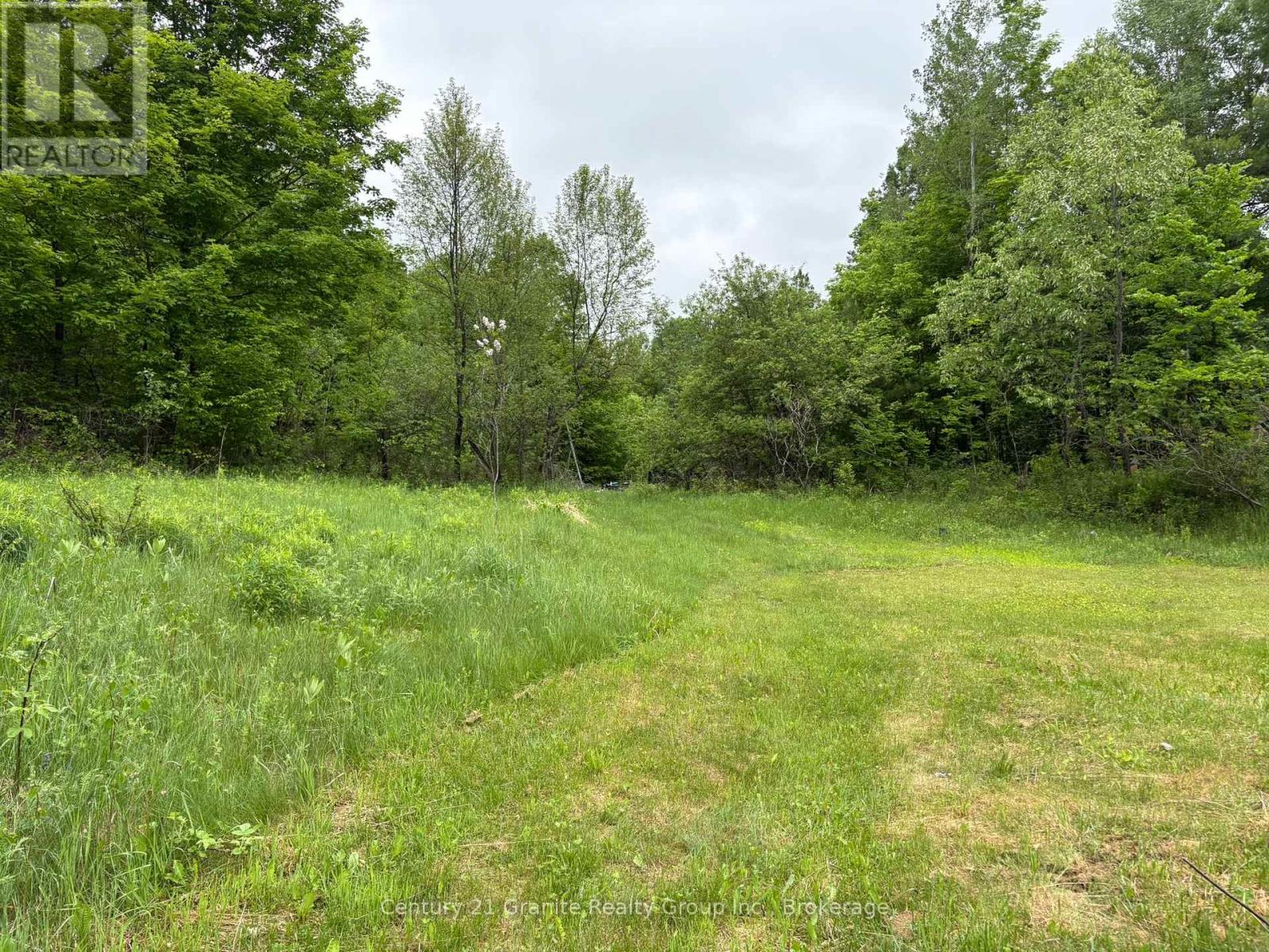 577 Lakeview Road, Bancroft (Dungannon Ward), Ontario  K0L 1C0 - Photo 5 - X13414778