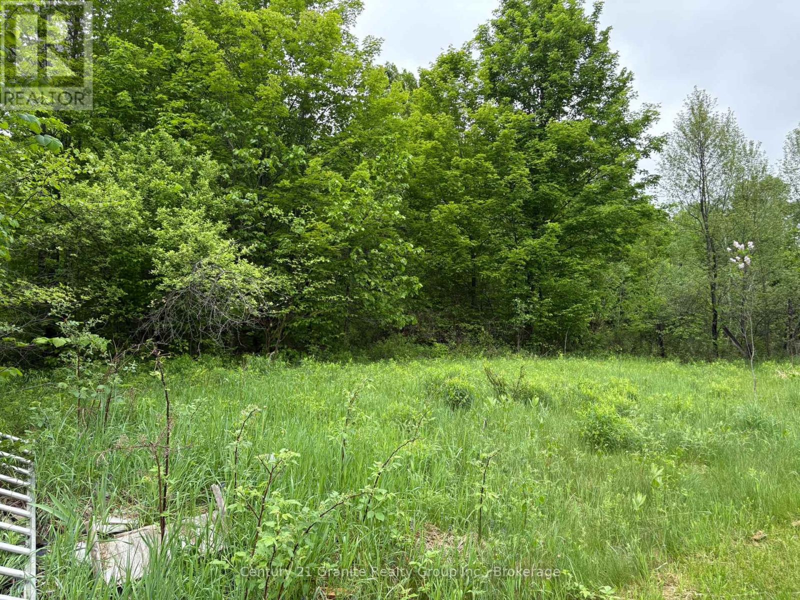 577 Lakeview Road, Bancroft (Dungannon Ward), Ontario  K0L 1C0 - Photo 6 - X13414778