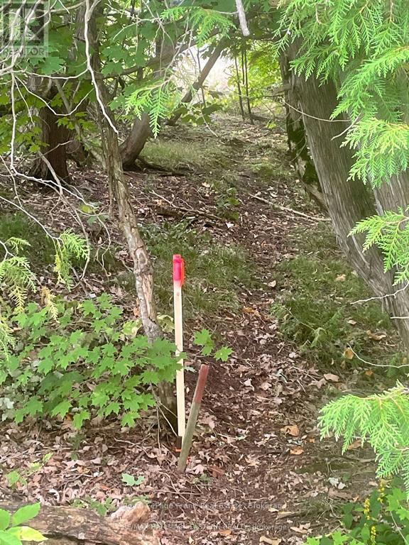 00 Adams-Cummings Road, Trent Lakes, Ontario  K0L 2J0 - Photo 2 - X13419516