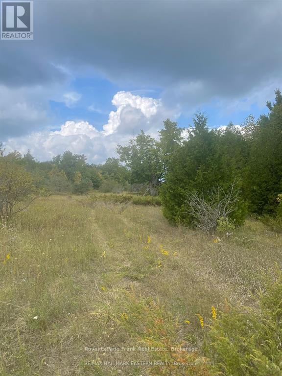 00 Adams-Cummings Road, Trent Lakes, Ontario  K0L 2J0 - Photo 9 - X13419516