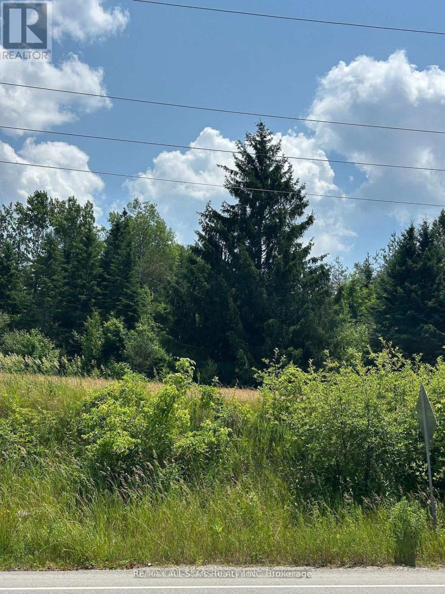 2 Thomas Street, Kawartha Lakes (Pontypool), Ontario  L0A 1K0 - Photo 7 - X13420896