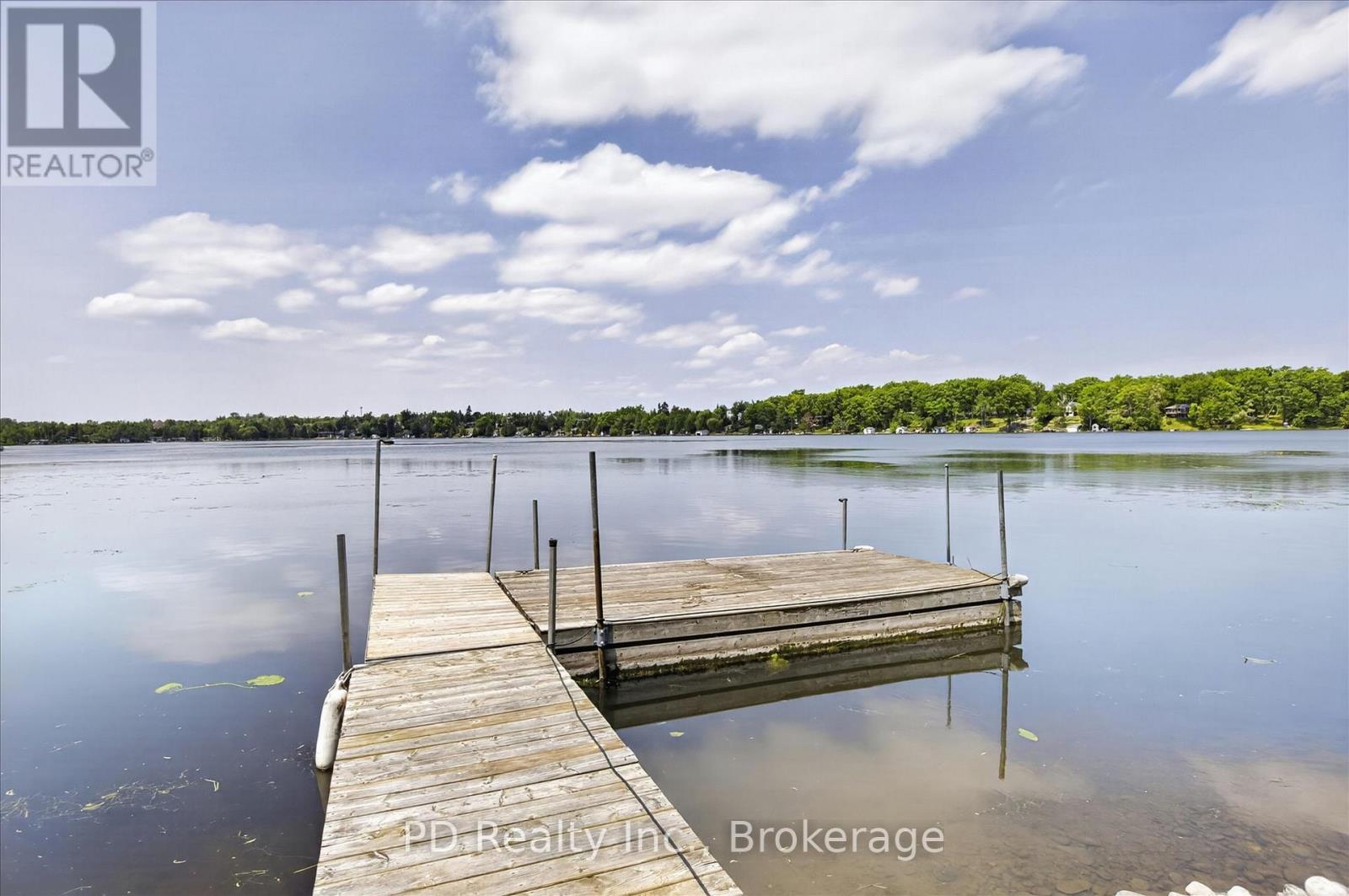 42 Pheasant Street, Kawartha Lakes (Emily), Ontario  K0L 2W0 - Photo 29 - X13425586